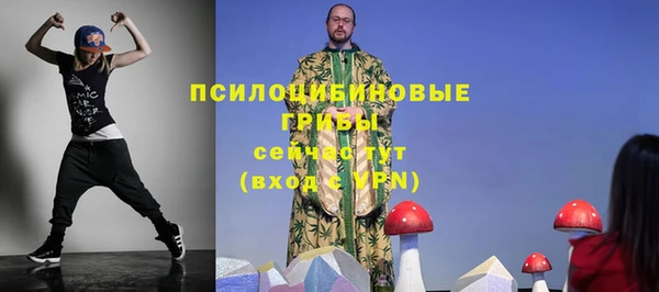 экстази Белокуриха